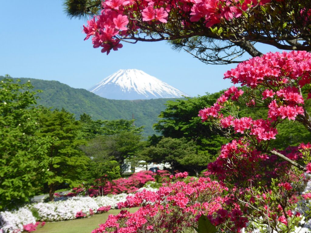 Mount Fuji
Steve Sharp
Protect our planet