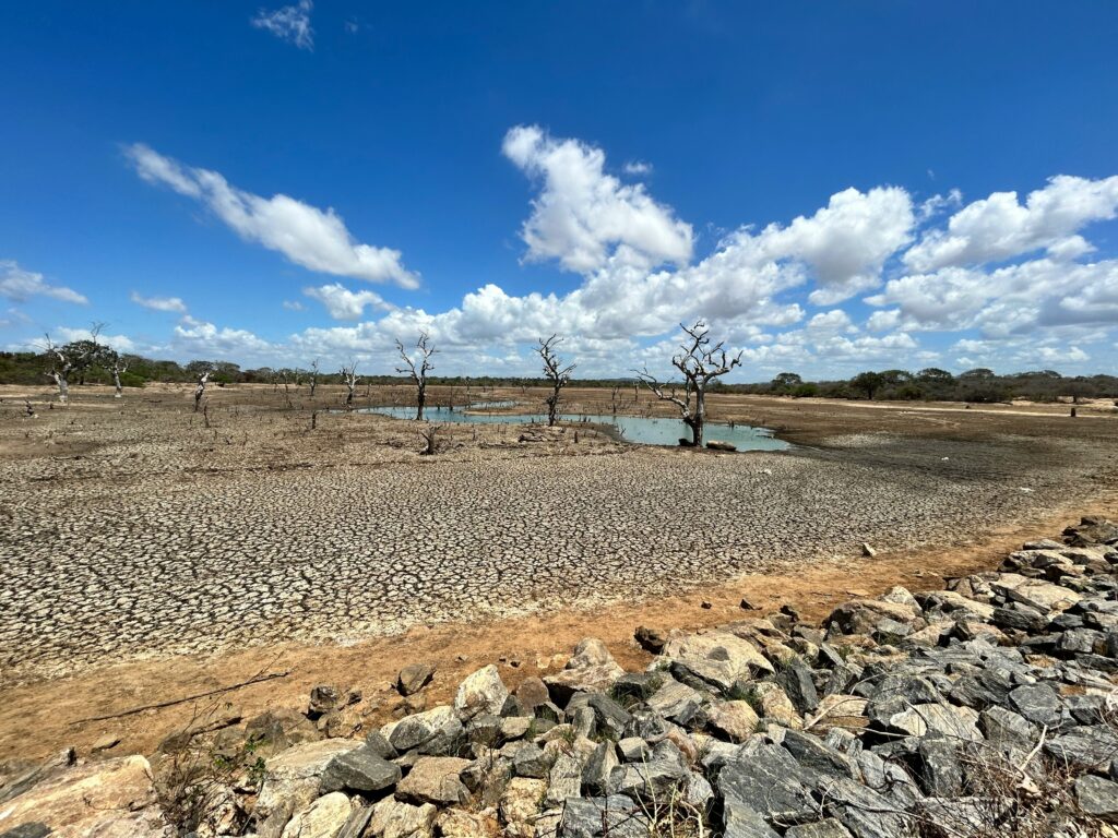 Water scarcity
Chamika Jayasri