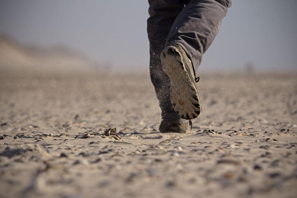 First step
Schroederhund