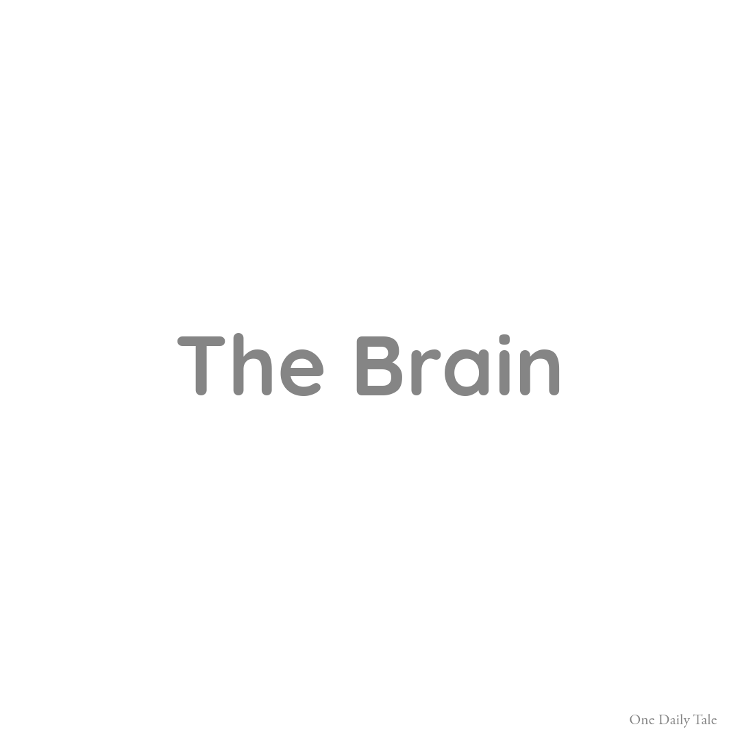 The Brain