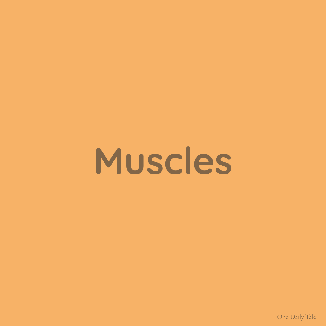 Muscles