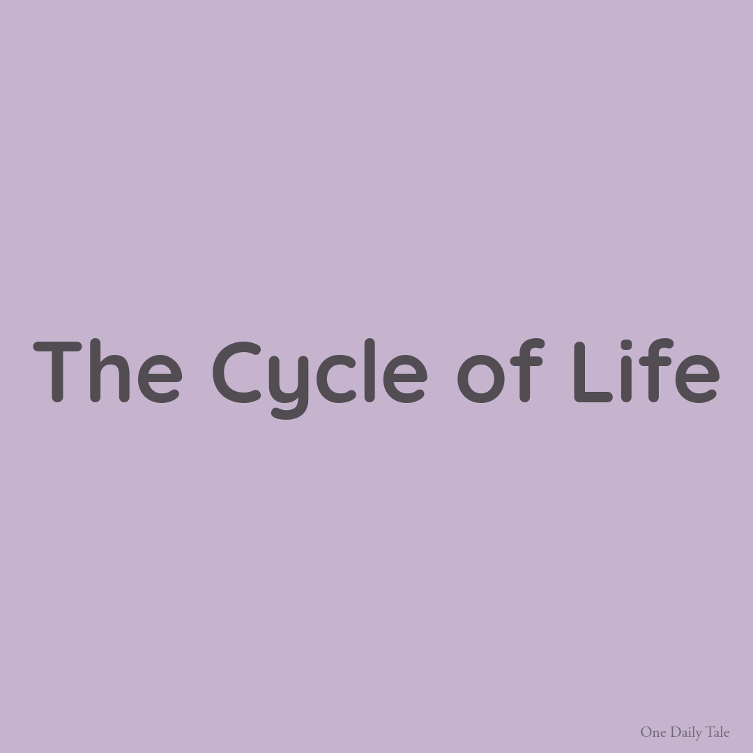 The Cycle of Life