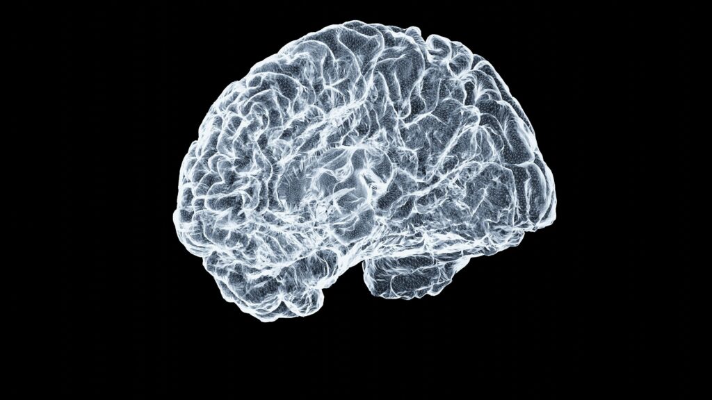 brain-harrison-leece-ii6BOPjAtVY-unsplash
