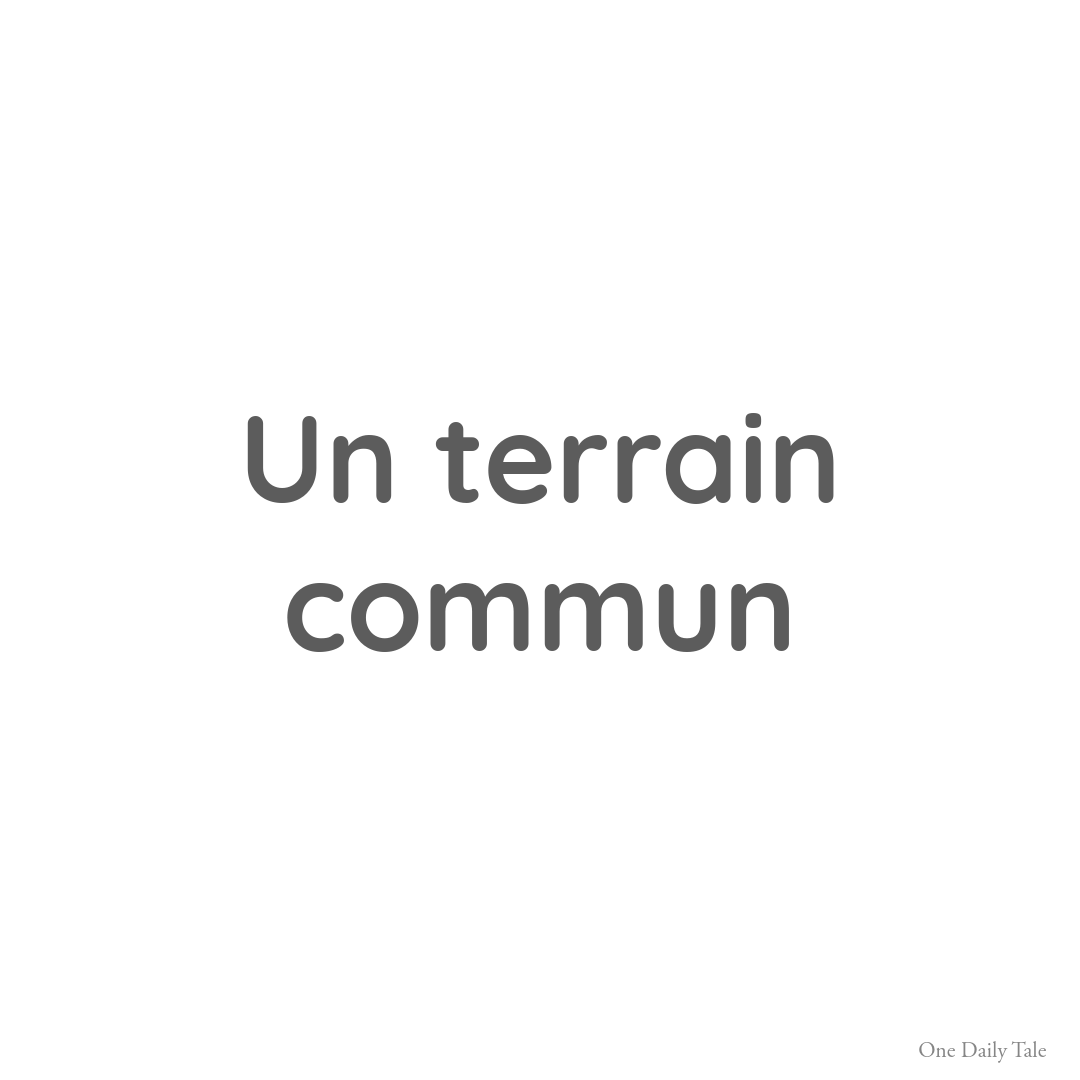 Un terrain commun