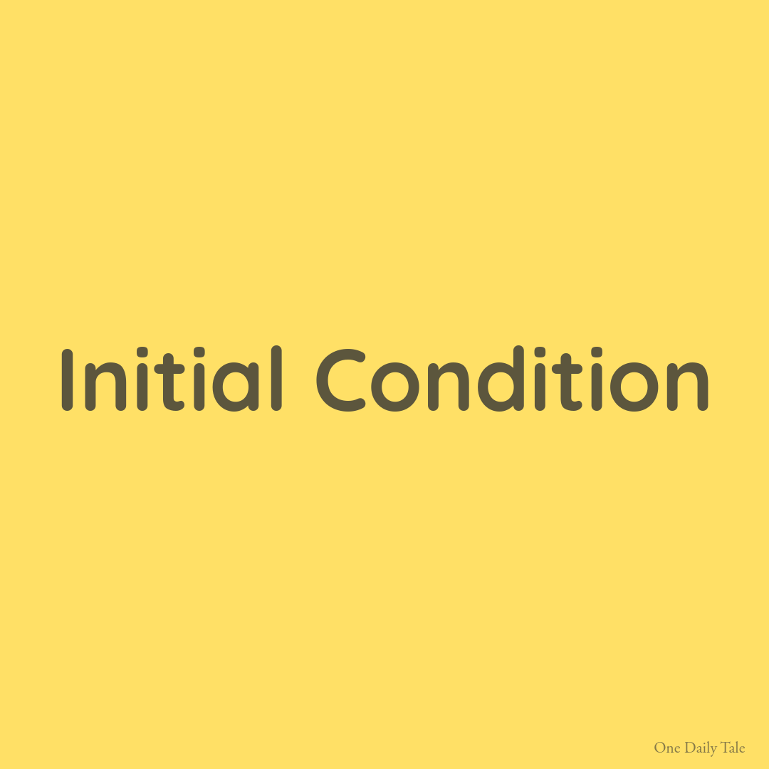 Initial Condition