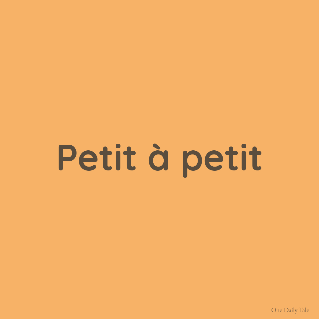 Petit à petit