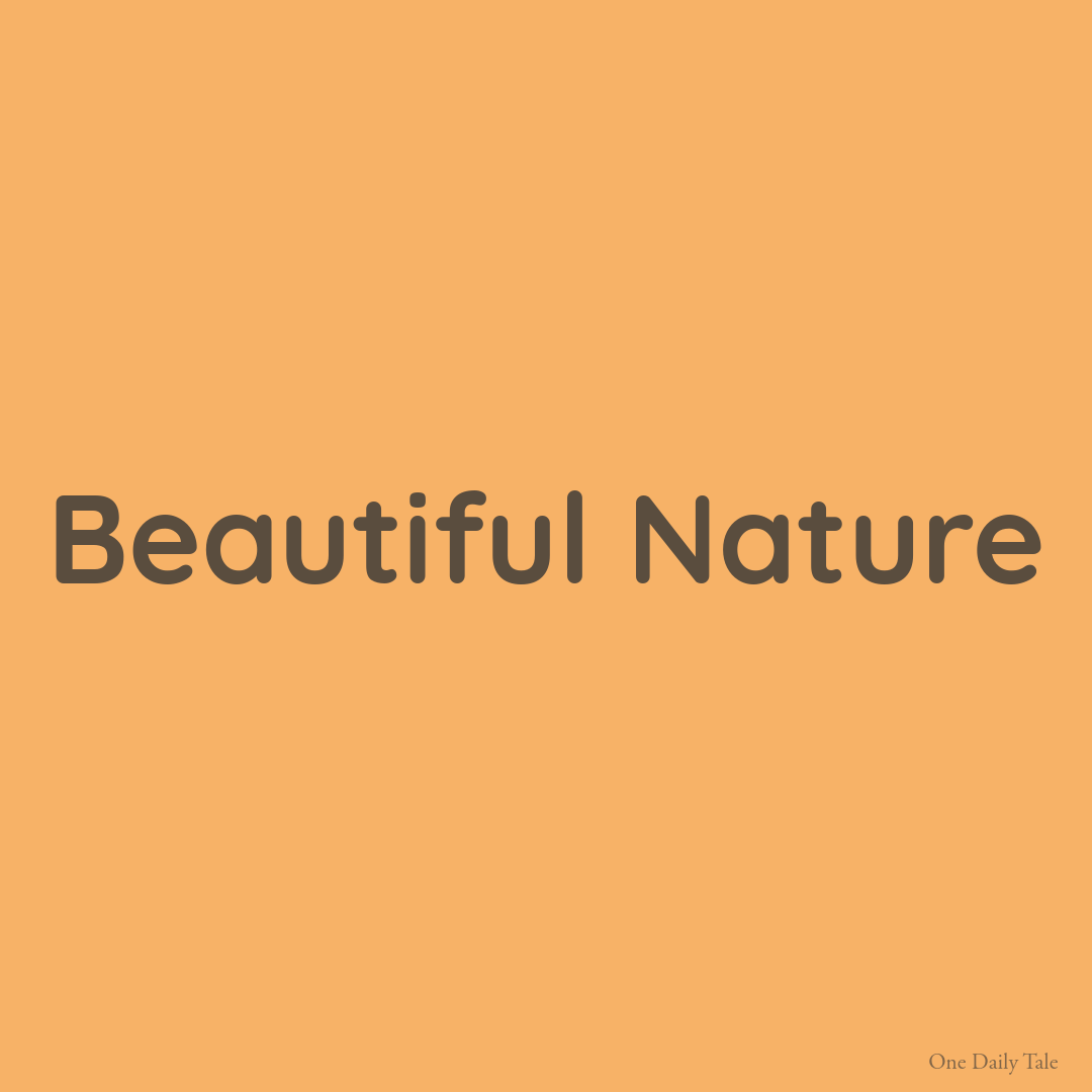 Beautiful Nature