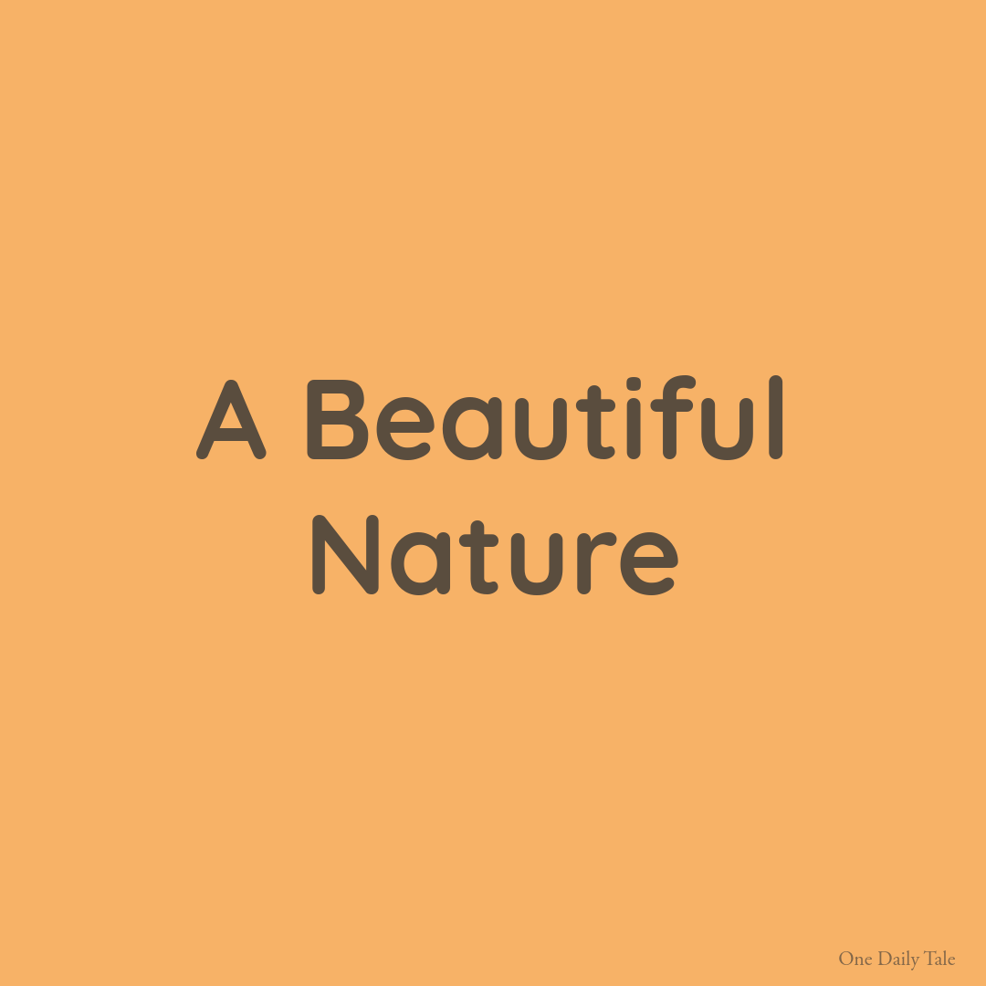 A Beautiful Nature