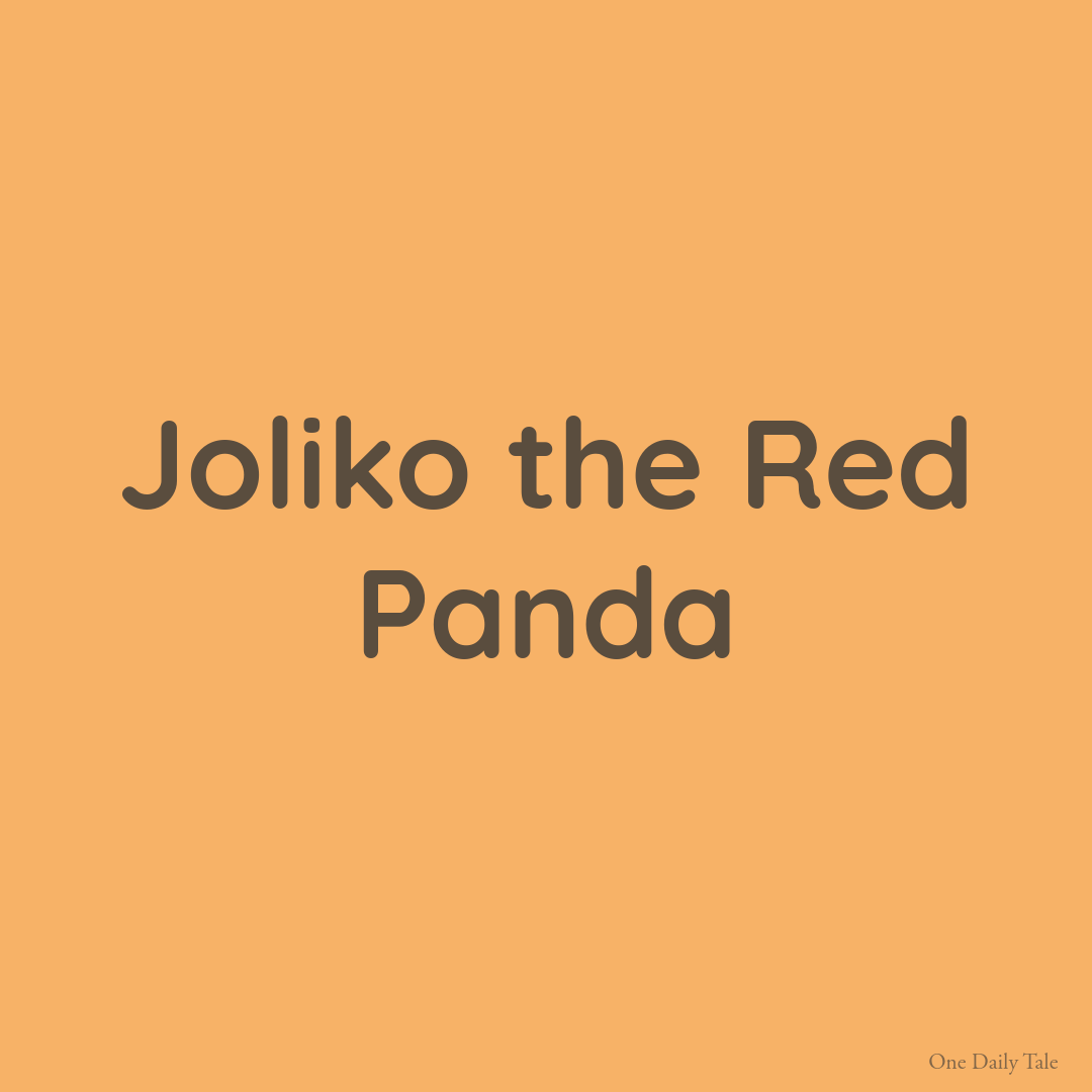 Joliko the Red Panda