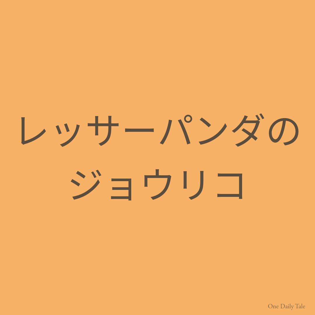 レッサーパンダのジョウリコ