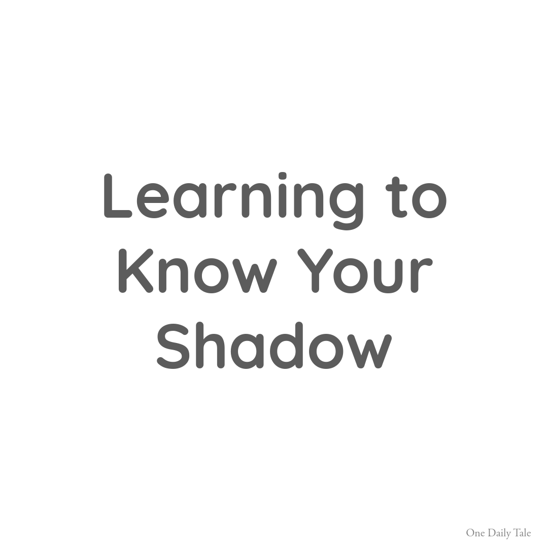 Learning to Know Your Shadow