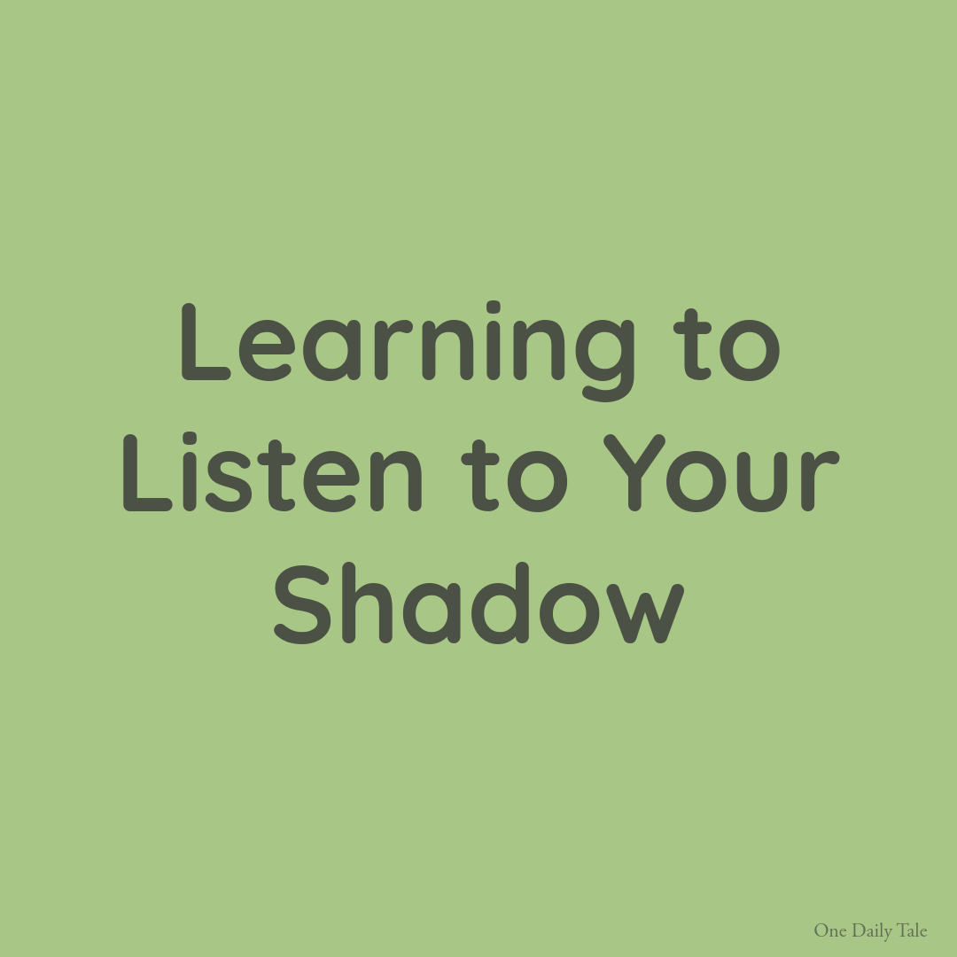 Learning to Listen to Your Shadow