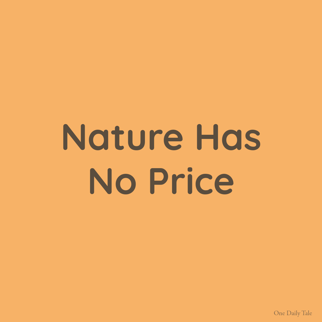 Nature Has No Price